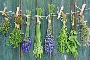 bylinky na liečbu plesní nechtov na nohách